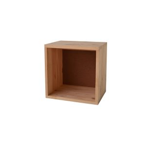 A-Cube + Back